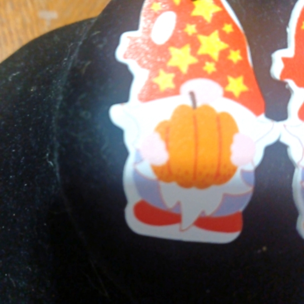 💐Gnome Earrings💐